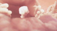 200w__5_.gif