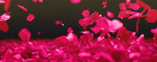 rose_petals.gif