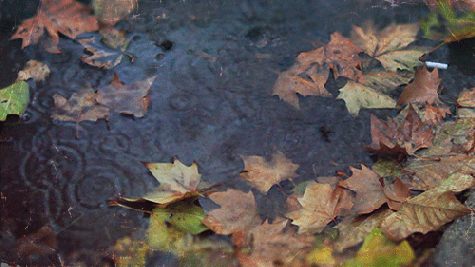 tumblr_mstwti5gj01rrs512o1_r1_500.gif