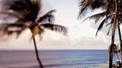 tumblr_m1exhaXovy1qd4q01o1_500.gif
