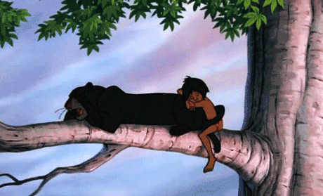 tumblr_n5mg23cyUB1sp6e2vo1_r1_500.gif