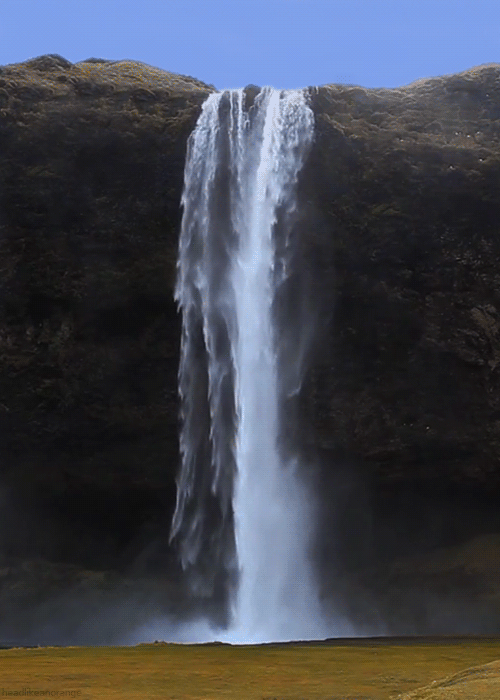 tumblr_n13xuzM8i31r4zr2vo2_r2_500.gif