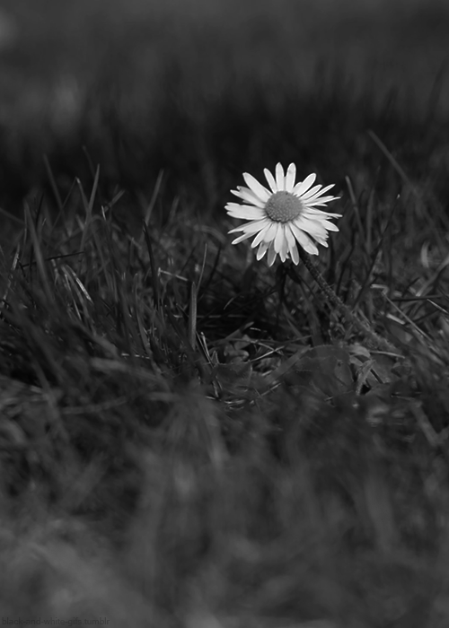 tumblr_n432xg31dF1rsq9eyo1_500.gif