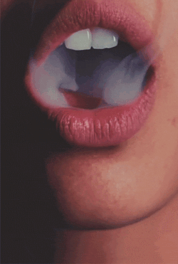 tumblr_ndnq4bbRgG1shcf7to1_250.gif