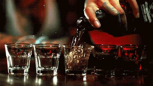 giphy__8_.gif