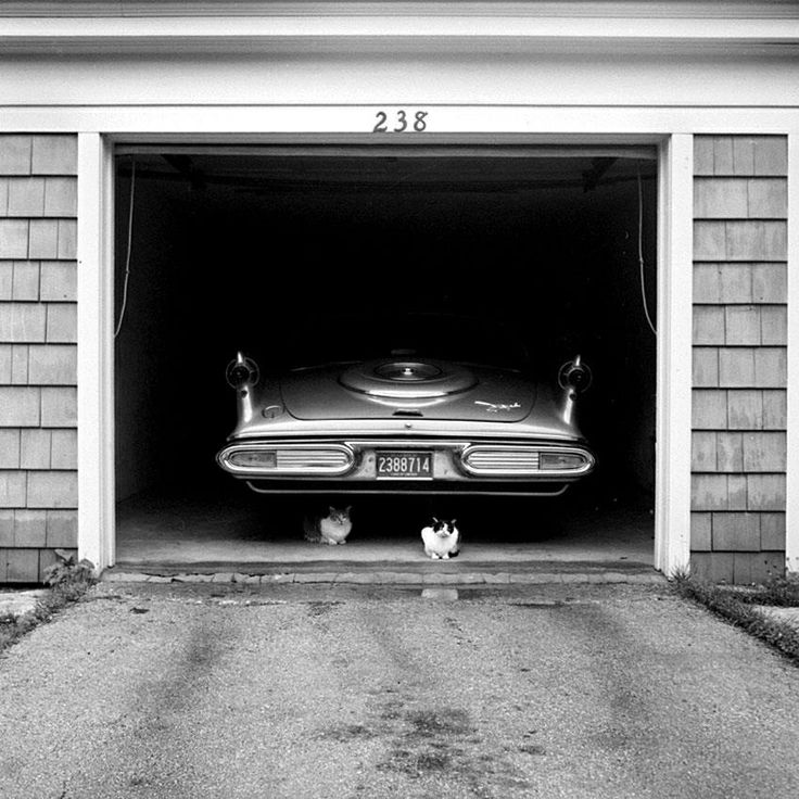 Vivian_Maier__Guarding_the_car..jpg