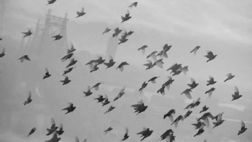 tumblr_n2my5dilty1sg711xo9_500.gif