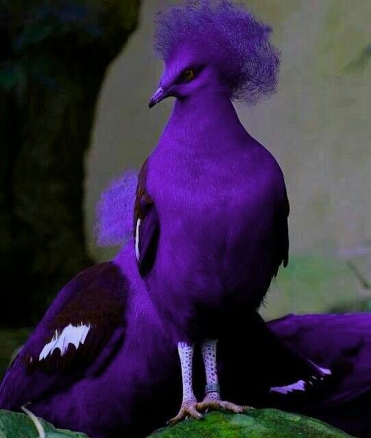 7d8a91bc0abb3e006225e01c7706801e.jpg