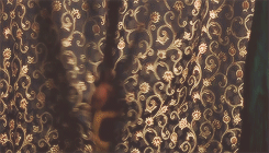 tumblr_inline_msbjda02jg1qz4rgp.gif