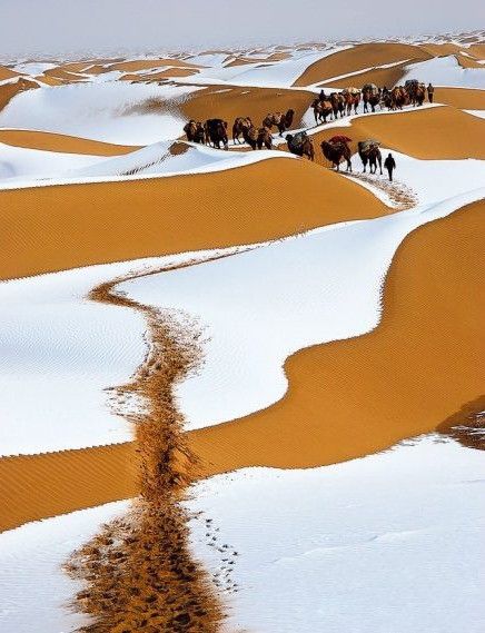 Winter_snow___Sahara_Desert.jpg