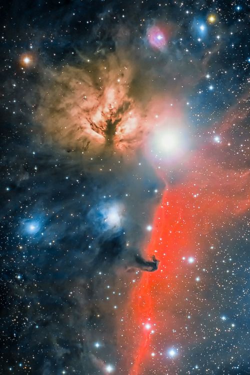 The_Horsehead_Nebula__featured_in_stunning_astrophotography_by_Jos___Jim__nez_Priego.__NASA_.jpg