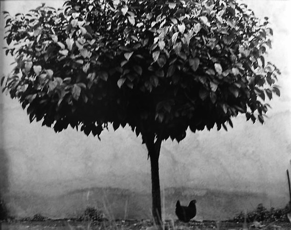 edouard_boubat_photography_13.jpg