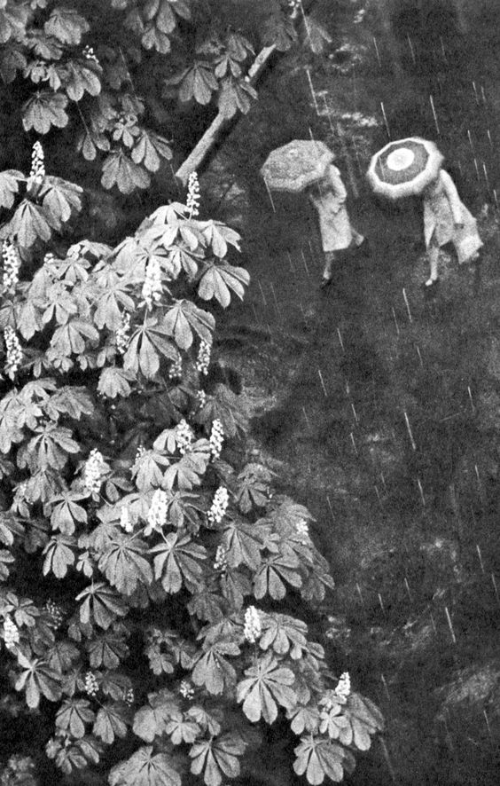 Chestnuts_bloom_again_by_Vladimir_Falin__1982.jpg