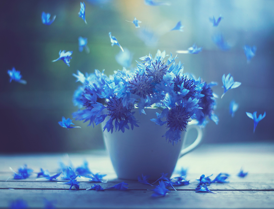 Air_Dancers_by_Ashraful_Arefin.jpg