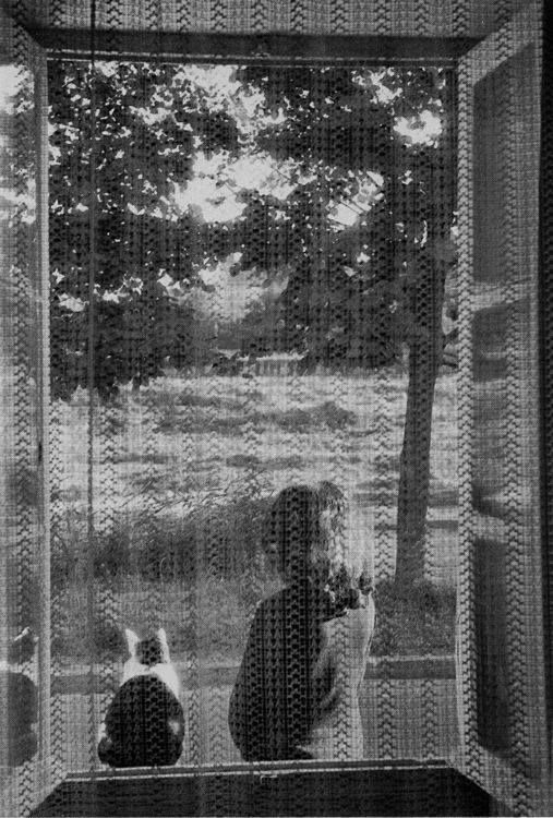 Through_a_veil___cat_and_girl._France._1978._Photographer_Edouard_Boubat.jpg