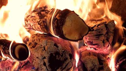 tumblr_n4p6x5rdLw1qeazldo1_500.gif