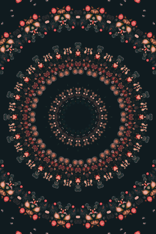 tumblr_mt2kc2oCbx1r1tc9jo1_500.gif