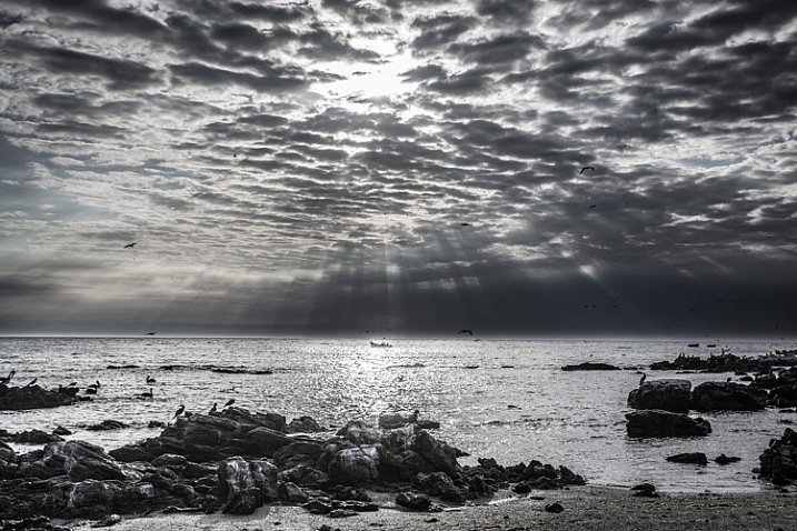 Peru_IslaLobosdelaTierra._David_Shaw.jpg