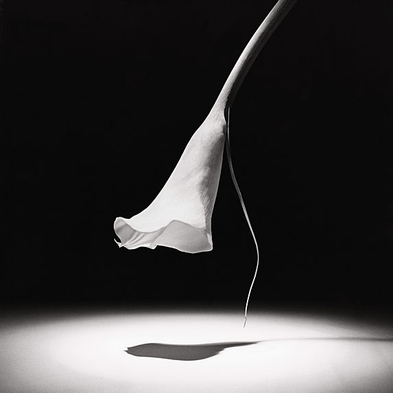 Robert_Mapplethorpe.jpg