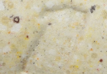 20120402a.jpg