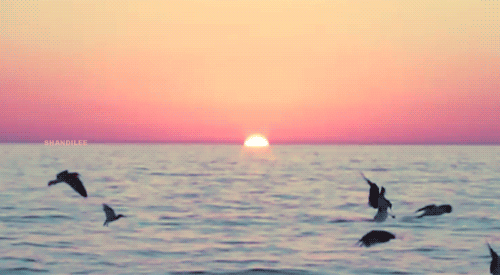 tumblr_n6q0etmx0F1s4urino1_500.gif