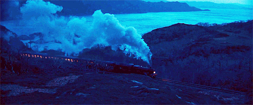 tumblr_lzc8t21SD61ql50ifo1_500.gif