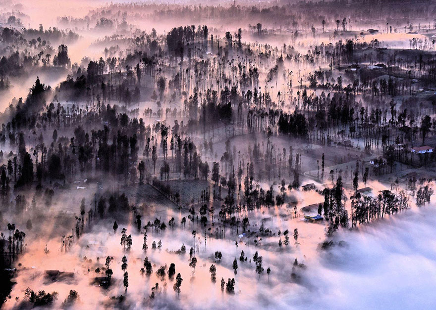 Misty_At_Cemoro_Lawang__Indonesia._By_Achmad_Sumawijaya..jpg