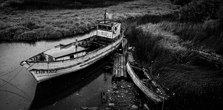 composition_black_white_2.jpg