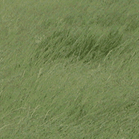 grass3.gif