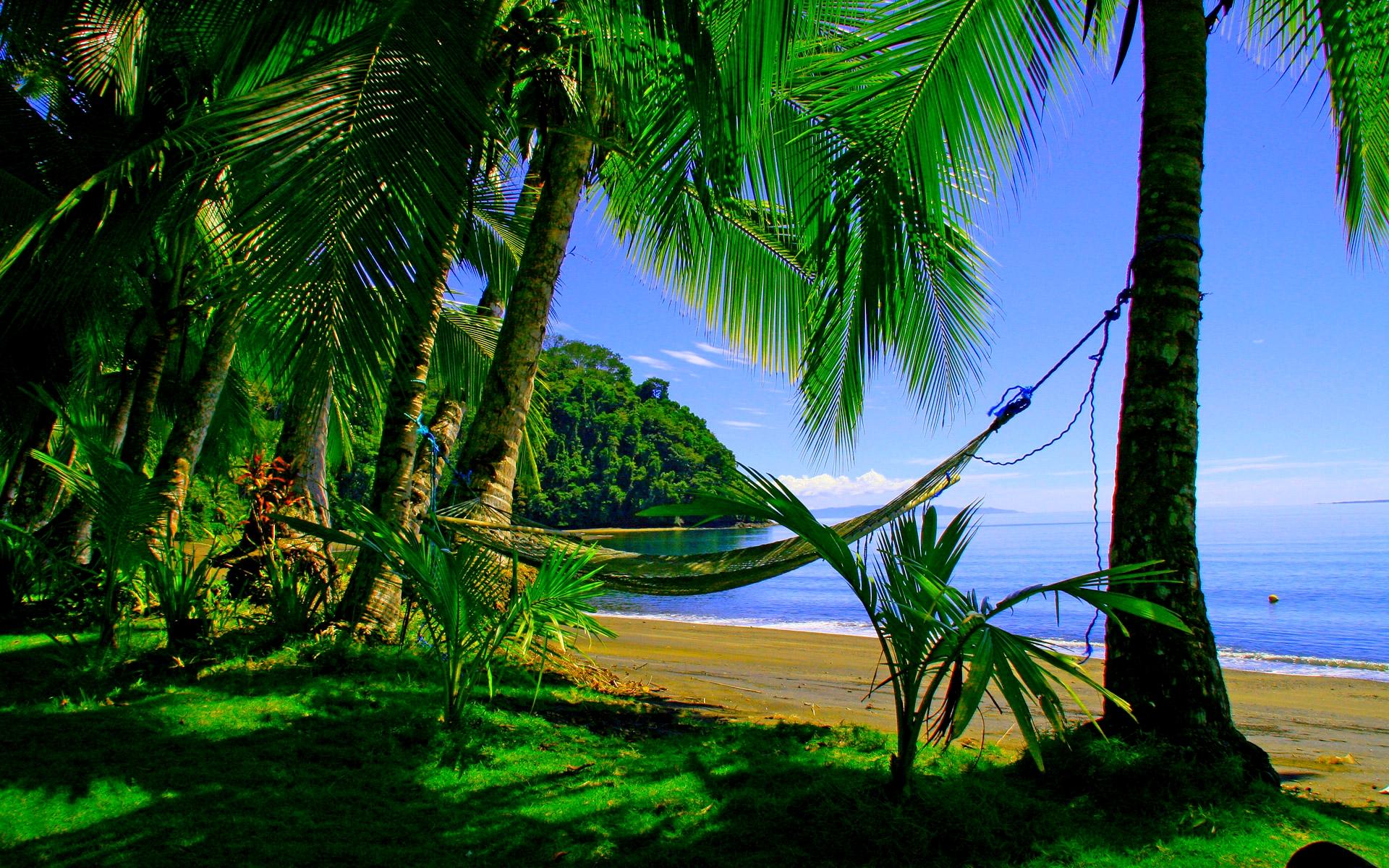 green_paradise.jpg