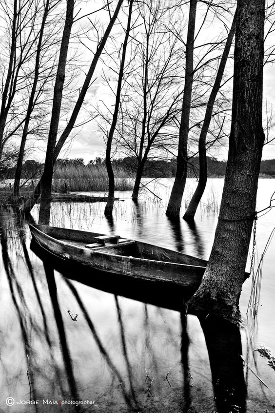 The_delicate_sound_of_silence_by_Jorge_Maia.jpg