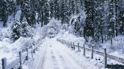 winter_snow_nature_animated_gif_9.gif
