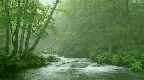 63e6bb82cbdb3e836e2477ef07db7fab.gif