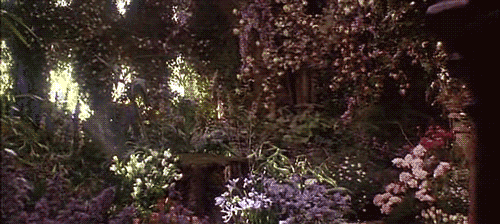 tumblr_lz57h5jdNP1qaw501o1_500_zps607754ac.gif