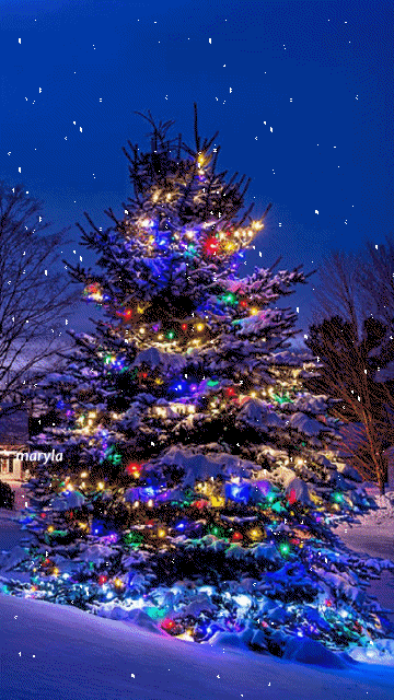 christmas_tree_animated_gif_32.gif