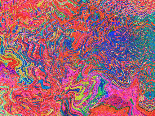 giphy.gif