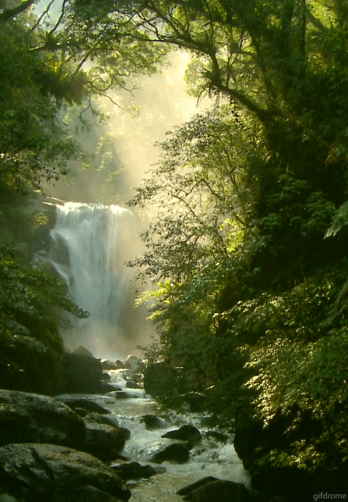 beautiful_forest_waterfall_rocks_nature_animated_gif.gif