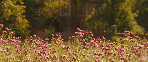 tumblr_ne2219qmFO1r4106ao6_500.gif
