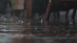 tumblr_mzh5lcsCGu1sige4ho1_250.gif
