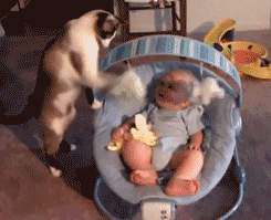 c88c4551b58cbb0fb0a259a6ec2e511d.gif