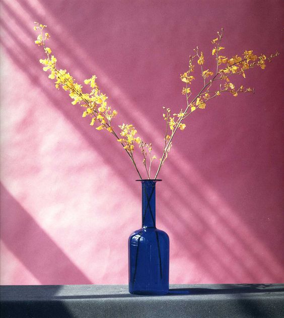 Robert_Mapplethorpe___Flowers.jpg