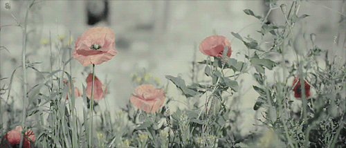 a0063afcfb86dfc79cb6839c91c28602.gif