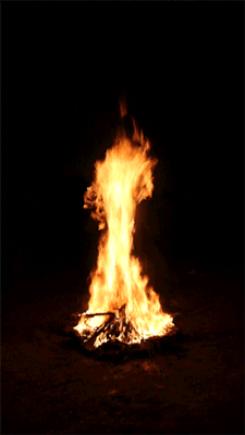 tumblr_m4p49hROGz1ro82hjo1_250.gif