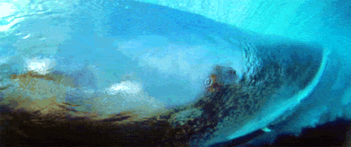 tumblr_mn40phtaIk1s5rbvqo1_500.gif