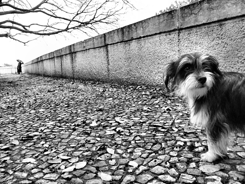 2200414160f4ef6545abofr2.jpg
