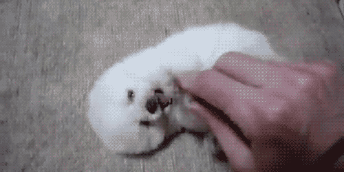 4f1a2a00bb9e4b4733ef26dea363d14f.gif