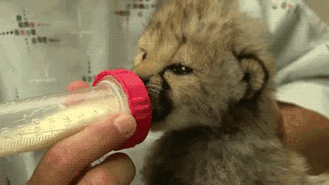 tumblr_m7h1u6RZ581r5c792o1_500.gif