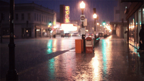 Fungif_13.gif
