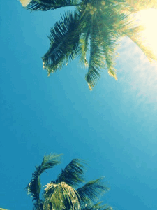 tumblr_mig6m3izSr1r5wynfo1_250.gif