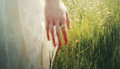 IMG_2244.GIF